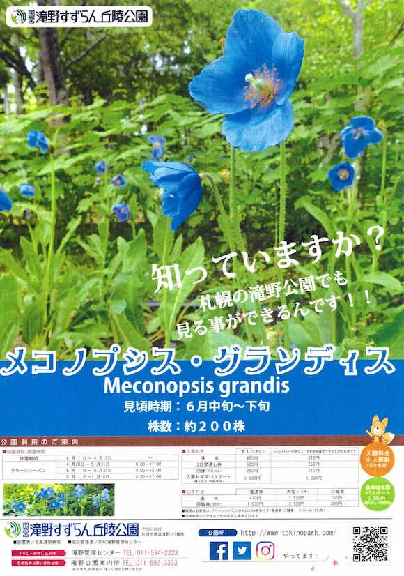 滝野のチラシ