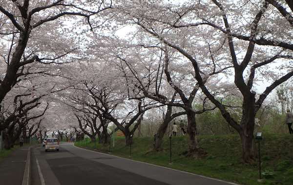 大野川
