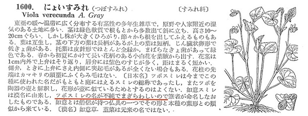 牧野図鑑