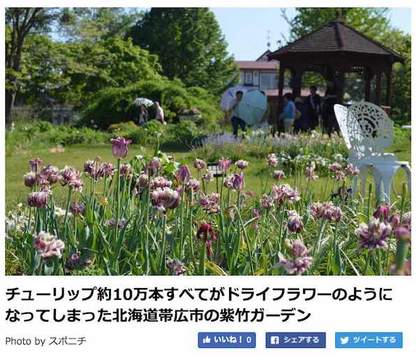紫竹さん