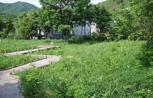 2006年