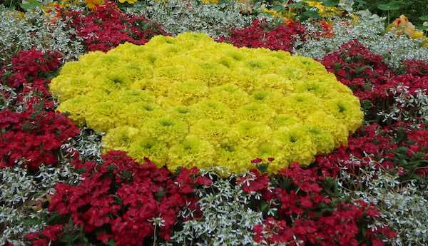 これが花壇か?