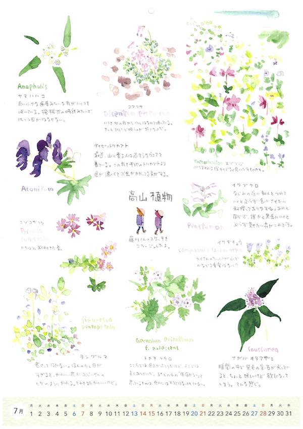 花カレンダー