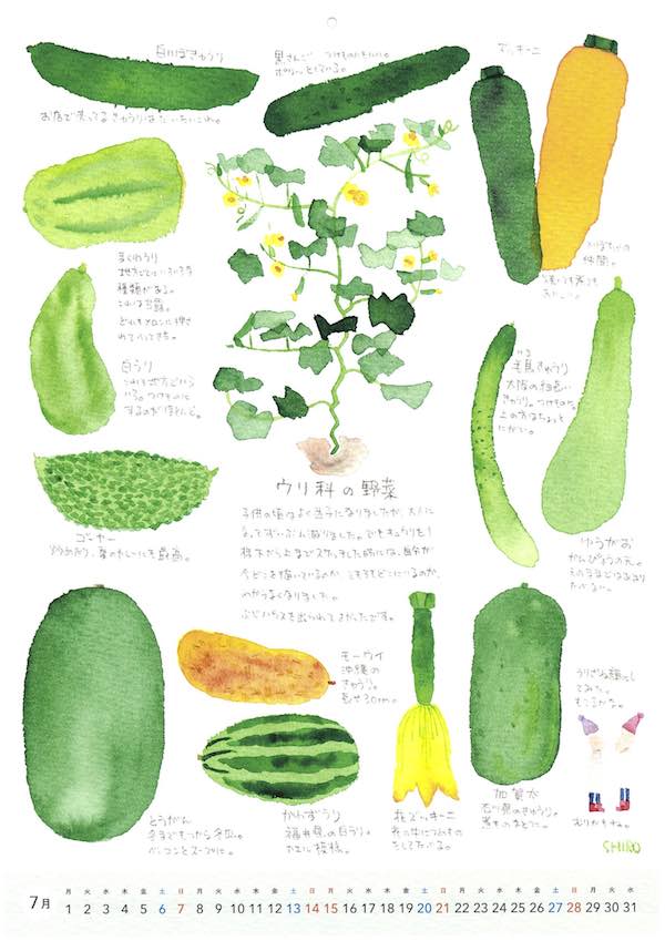 野菜カレンダー