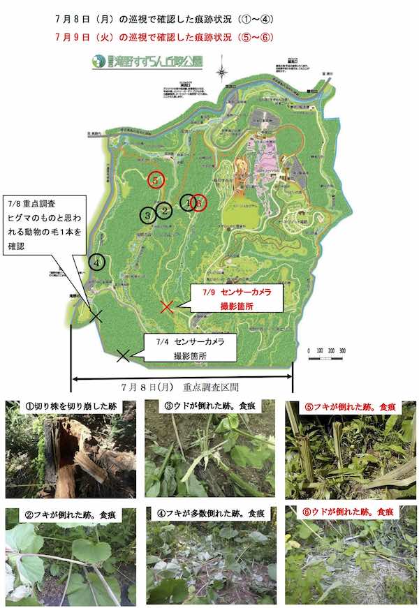 発見地点