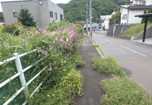 バス停への道