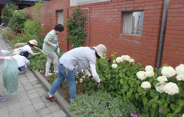 花がら摘み