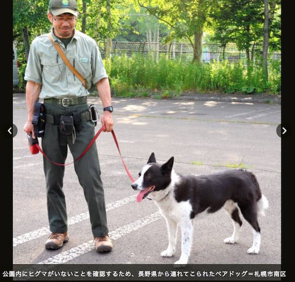 ベアドッグ