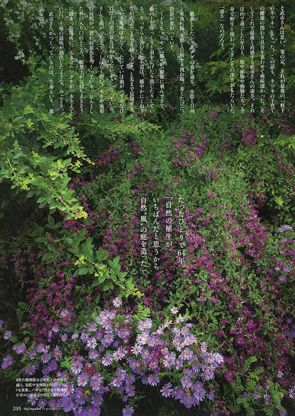 梨木香歩さん