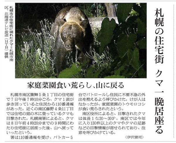 藤野のクマ