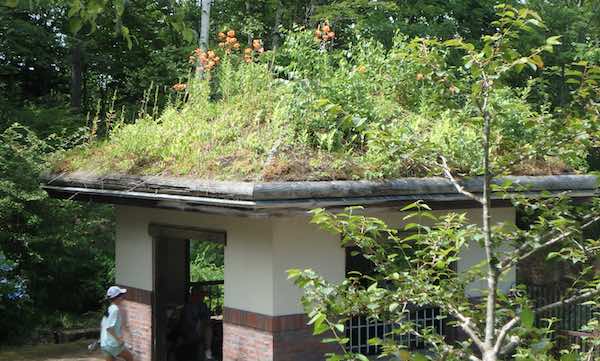 四阿の屋根