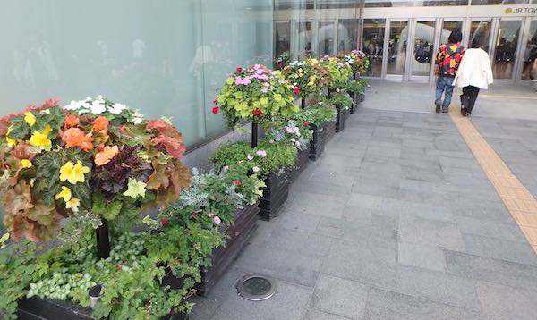 おもてなし花壇