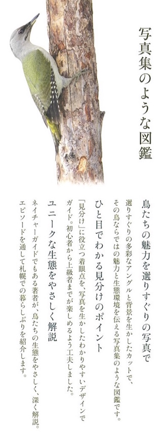 見出