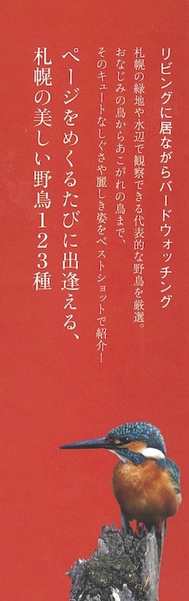左見出