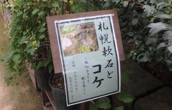 軟石とコケ