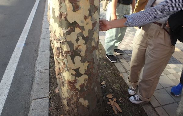 皮むき