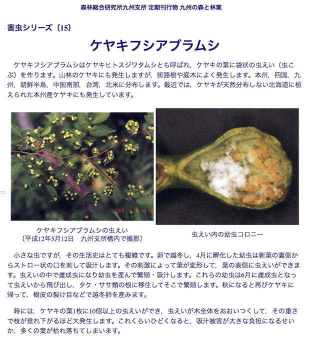 森林総研