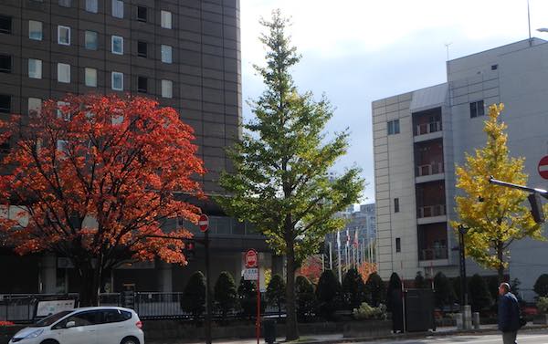町中の紅葉