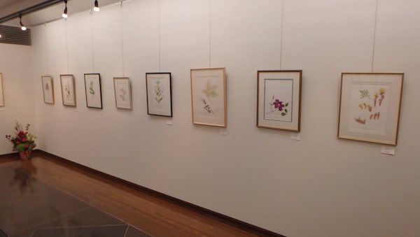 展示