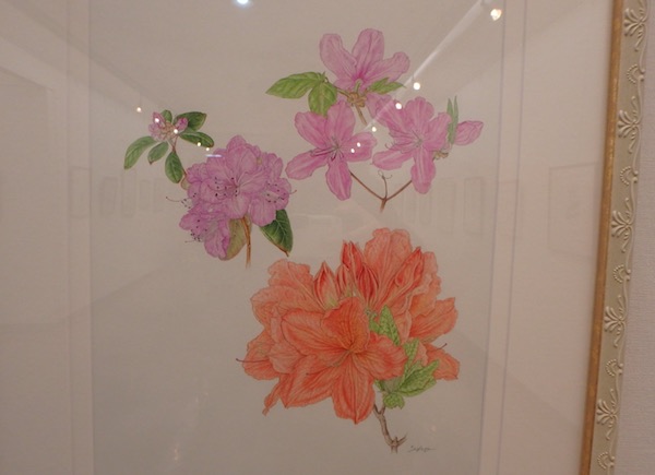 先生の作品