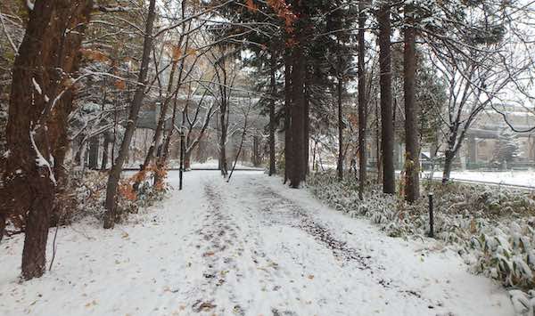雪景色