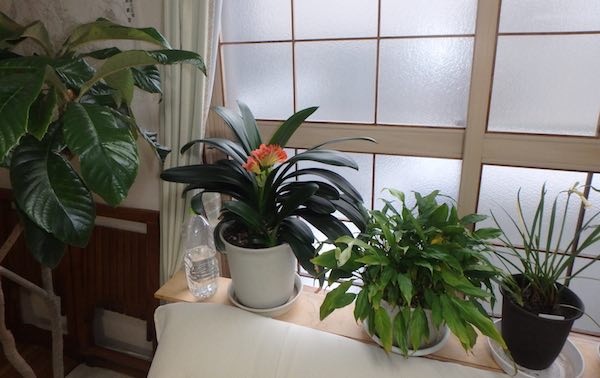 室内