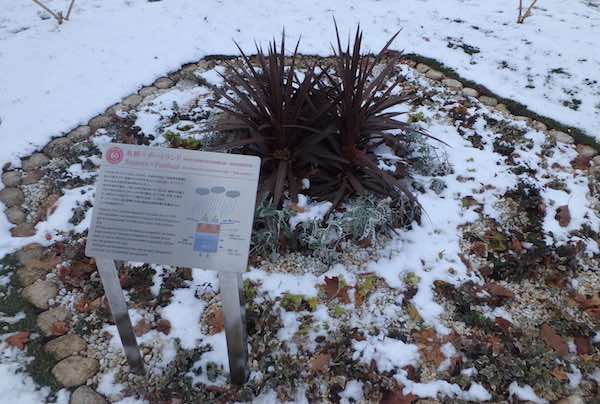 花壇