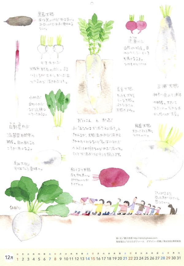 野菜カレンダー