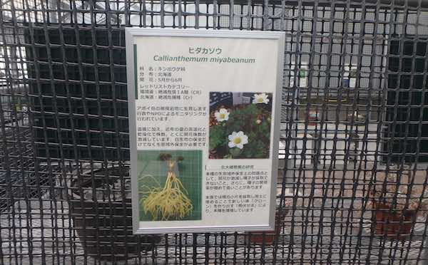 パネル展示