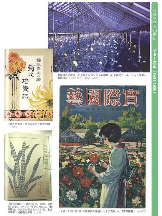 実際園芸