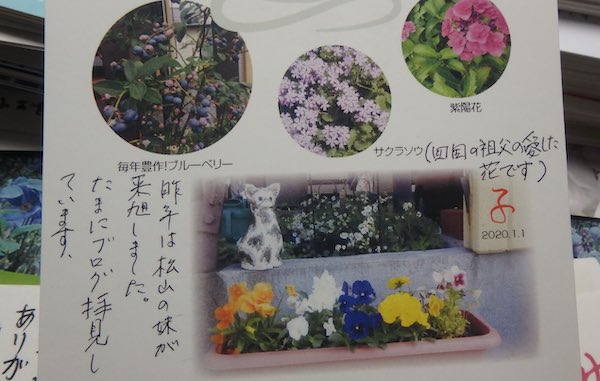 馬木の親戚