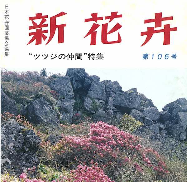 ツツジ特集
