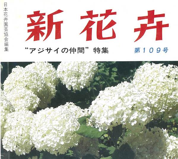 アジサイの仲間