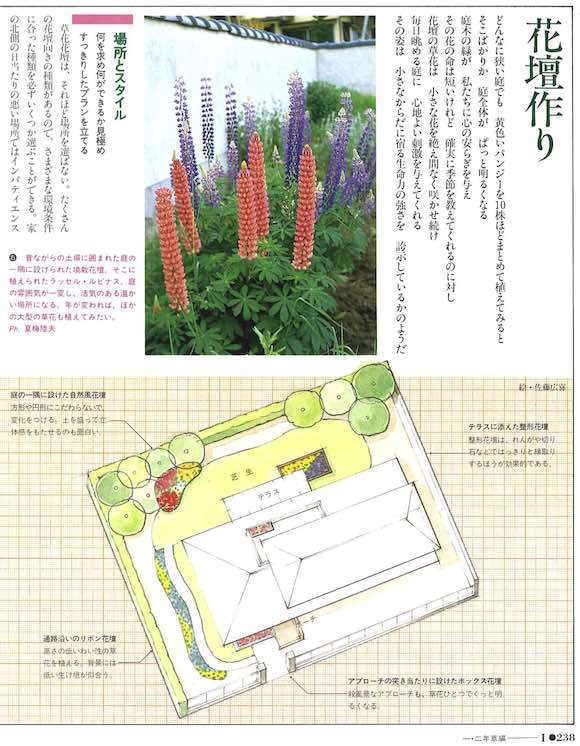 特集