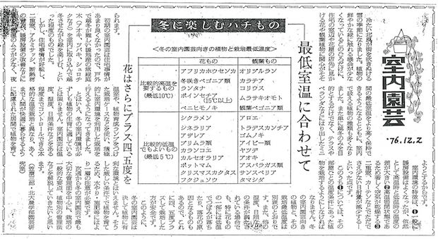室内園芸