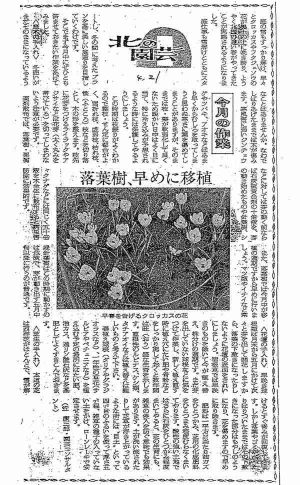 北国の園芸