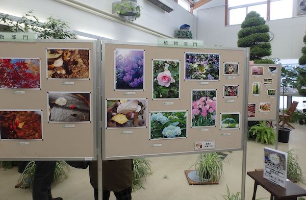 写真展