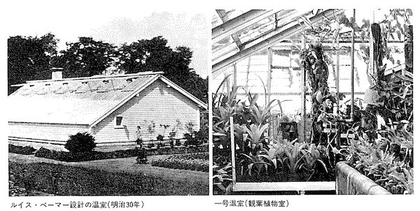 1号2号温室
