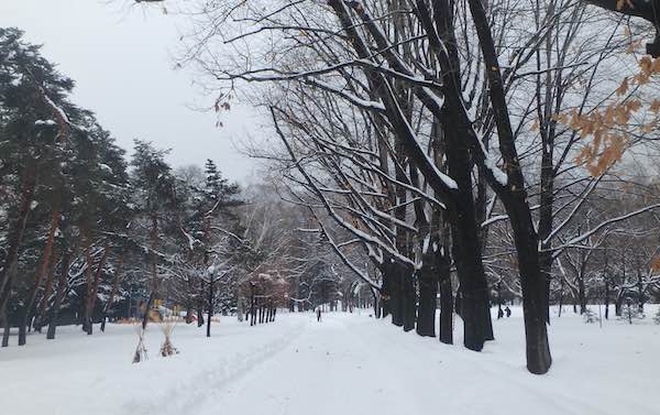 円山公園