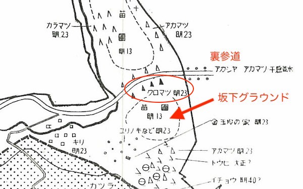 植栽図