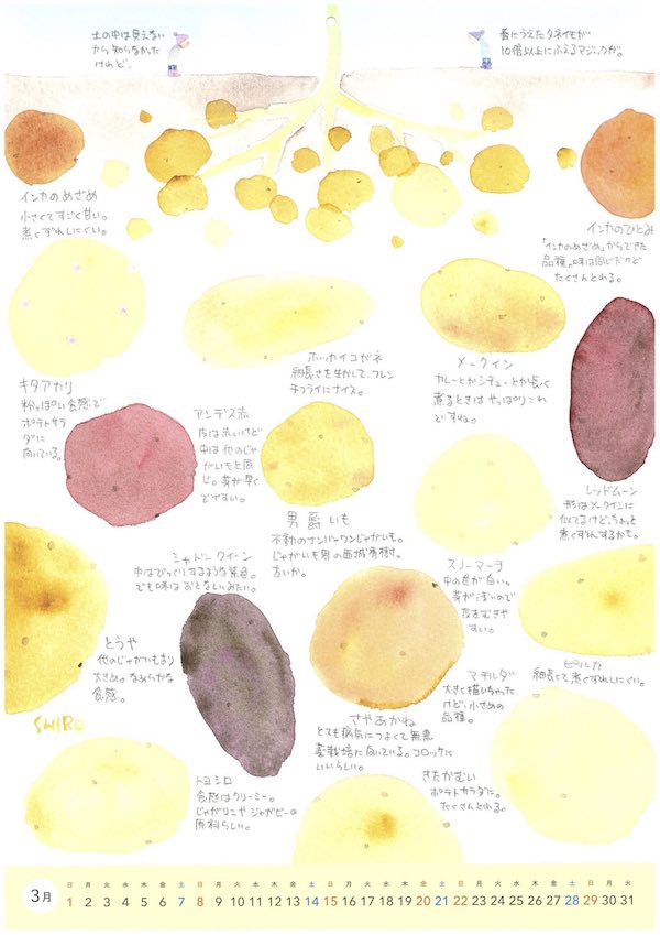野菜カレンダー