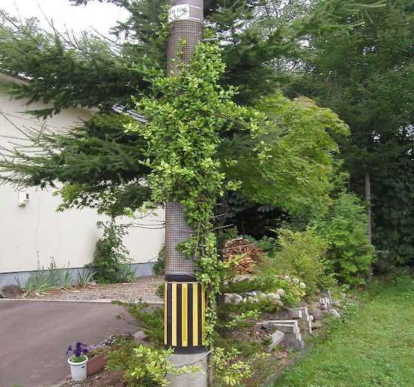 緑化電柱