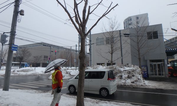 枝の確認