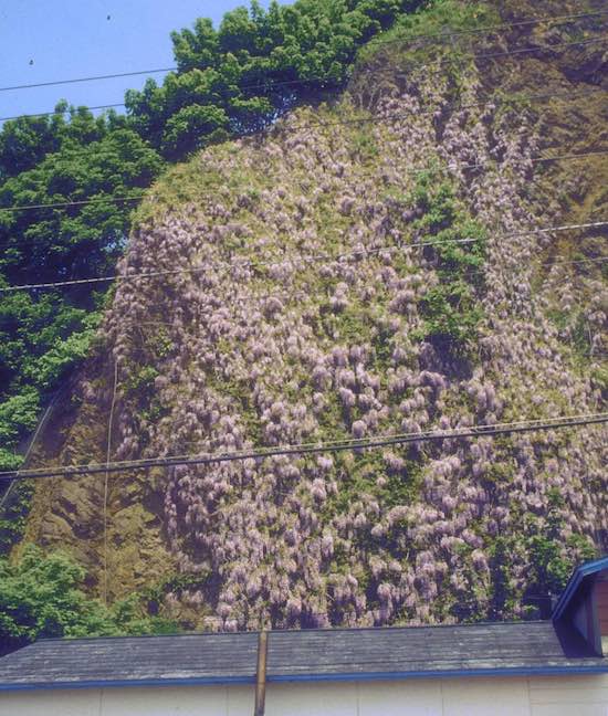 熊石