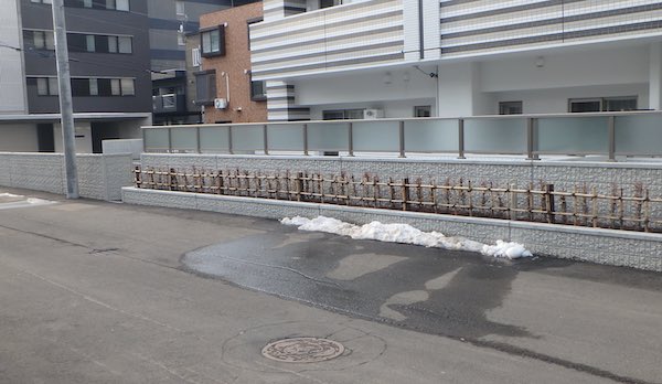 雪融け
