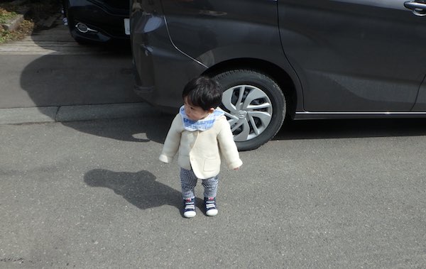 智ちゃん