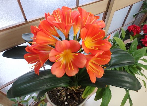 2月