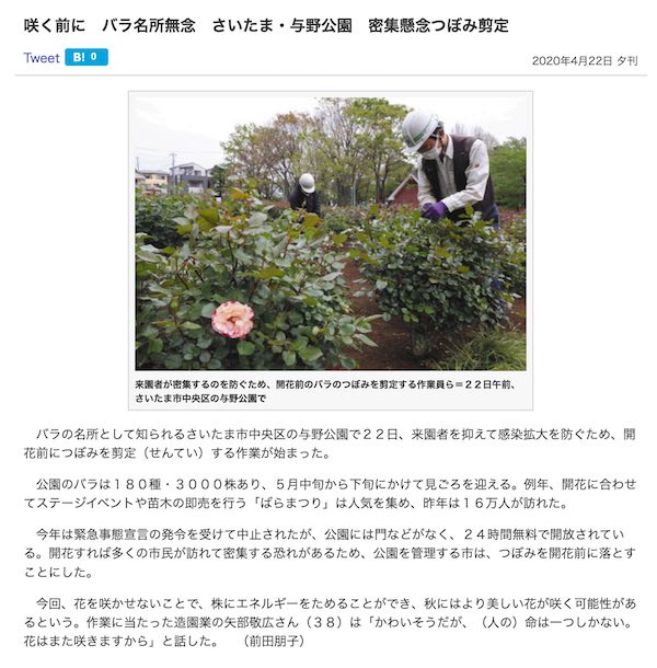 与野のバラ