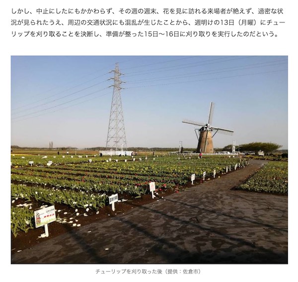 刈り取り後