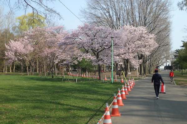 円山公園